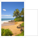 Chang's Beach on Maui by Anonymous