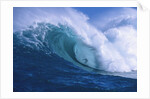 Surfer shooting the curl of Jaws at Peahi on Maui by Anonymous