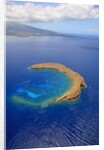 Molokini Crater off the coast of Maui by Anonymous