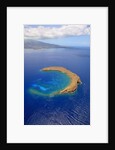 Molokini Crater off the coast of Maui by Anonymous
