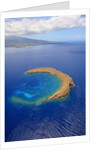 Molokini Crater off the coast of Maui by Anonymous