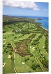 Emerald and Gold courses and pro shop at Wailea Golf Resort by Anonymous