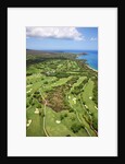 Emerald and Gold courses and pro shop at Wailea Golf Resort by Anonymous