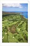 Emerald and Gold courses and pro shop at Wailea Golf Resort by Anonymous