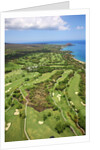 Emerald and Gold courses and pro shop at Wailea Golf Resort by Anonymous