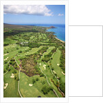 Emerald and Gold courses and pro shop at Wailea Golf Resort by Anonymous