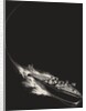 Speed boat at night full of friends by Anonymous