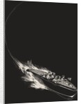 Speed boat at night full of friends by Anonymous