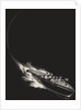 Speed boat at night full of friends by Anonymous