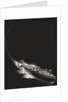 Speed boat at night full of friends by Anonymous