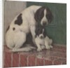 Dog and puppy in rain by Anonymous
