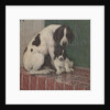 Dog and puppy in rain by Anonymous
