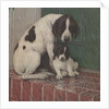 Dog and puppy in rain by Anonymous