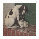 Dog and puppy in rain by Anonymous