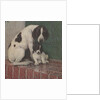 Dog and puppy in rain by Anonymous