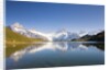Wetterhorn , Schreckhorn and Finsteraarhorn reflecting in Lake Bachalp by Anonymous