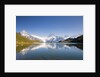 Wetterhorn , Schreckhorn and Finsteraarhorn reflecting in Lake Bachalp by Anonymous
