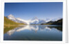Wetterhorn , Schreckhorn and Finsteraarhorn reflecting in Lake Bachalp by Anonymous