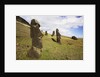 Moai at Rano Raraku on Easter Island by Anonymous