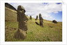 Moai at Rano Raraku on Easter Island by Anonymous