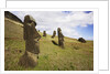 Moai at Rano Raraku on Easter Island by Anonymous