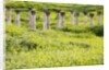 Roman columns rising above field of wildflowers by Anonymous