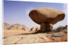 Mushroom shaped rock formation in Wadi Rum National Park by Anonymous