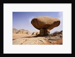 Mushroom shaped rock formation in Wadi Rum National Park by Anonymous