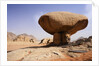 Mushroom shaped rock formation in Wadi Rum National Park by Anonymous