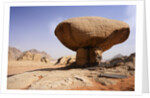 Mushroom shaped rock formation in Wadi Rum National Park by Anonymous
