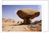 Mushroom shaped rock formation in Wadi Rum National Park by Anonymous