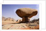 Mushroom shaped rock formation in Wadi Rum National Park by Anonymous