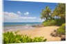 Secluded sandy beach on Maui by Anonymous