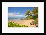 Secluded sandy beach on Maui by Anonymous
