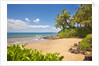 Secluded sandy beach on Maui by Anonymous