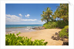 Secluded sandy beach on Maui by Anonymous