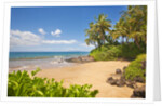 Secluded sandy beach on Maui by Anonymous