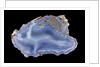 Agate by Anonymous