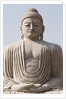 Low angle view of a statue of Buddha, The Great Buddha Statue, Bodhgaya, Gaya, Bihar, India by Anonymous