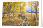 Wooden fence and Aspen forest in autumn by Anonymous
