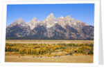 Parked cars at Schwabacher Landing by Anonymous