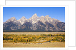 Parked cars at Schwabacher Landing by Anonymous