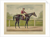 The Grand Racer Kingston by Spendthrift by Currier & Ives