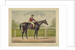 The Grand Racer Kingston by Spendthrift by Currier & Ives