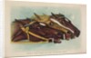 Head and Head at the Winning Post by Currier & Ives