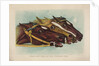 Head and Head at the Winning Post by Currier & Ives