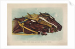 Head and Head at the Winning Post by Currier & Ives