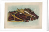 Head and Head at the Winning Post by Currier & Ives