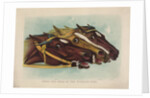 Head and Head at the Winning Post by Currier & Ives