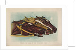 Head and Head at the Winning Post by Currier & Ives